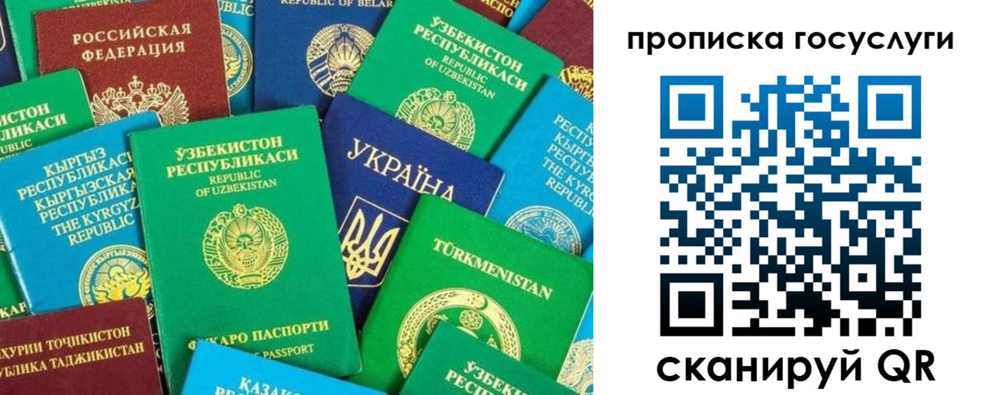 временная регистрация для всех в Чечне